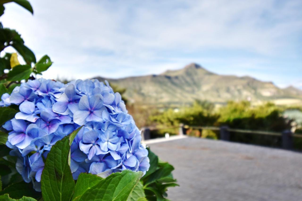 Golden View Luxury Self Catering Βίλα Clarens Εξωτερικό φωτογραφία